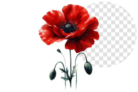 Download Poppify Watercolor Red Poppy Clipart - Red Collection