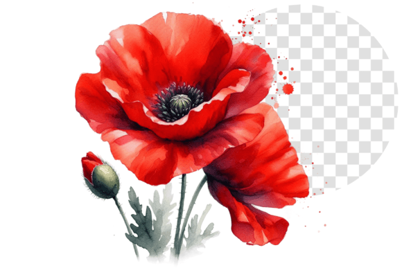 Download Poppify Watercolor Red Poppy Clipart - Red Collection