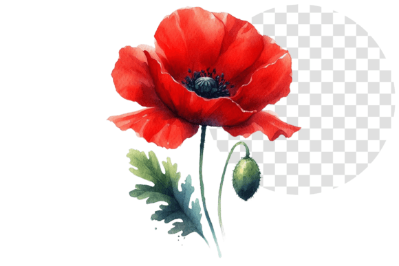 Download Poppify Watercolor Red Poppy Clipart - Red Collection