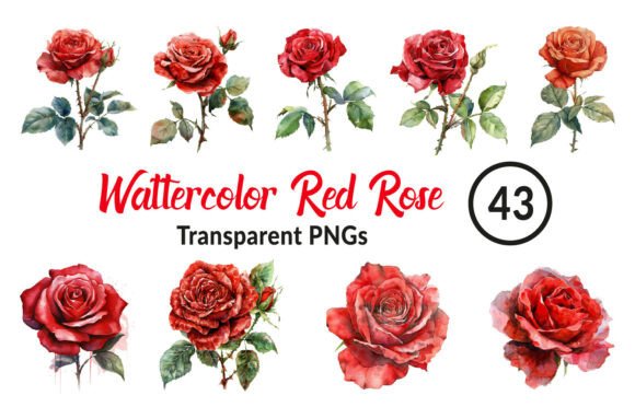 Download Watercolor Red Rose Clipart - Red Collection