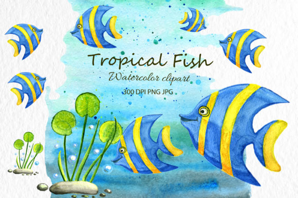 Download Animal Clip Art Fish Watercolor Animal - Watercolor animal Collection