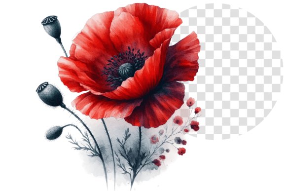 Download Poppify Watercolor Red Poppy Clipart - Red Collection