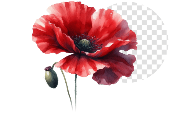 Download Poppify Watercolor Red Poppy Clipart - Red Collection