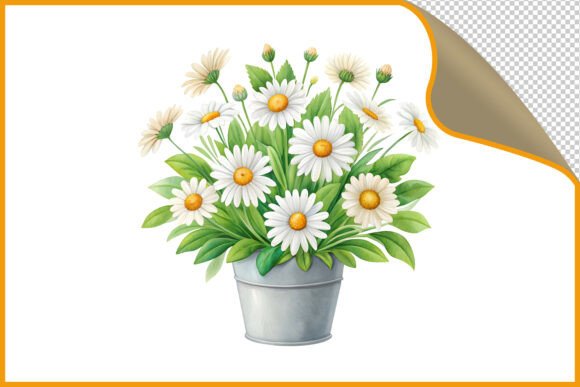 Download Daisies in a Pail PNG - Daisies Collection