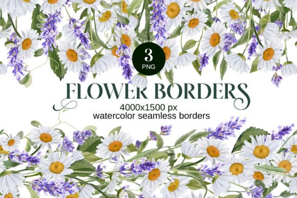Download Watercolor Daisies, Lavender Borders PNG - Daisies Collection
