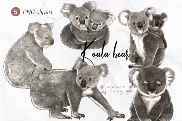 Download Koala Bear Watercolor Animal Clipart, PN - Watercolor animal Collection